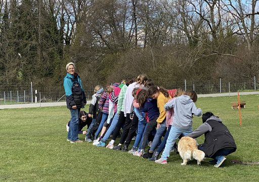 Hundesport